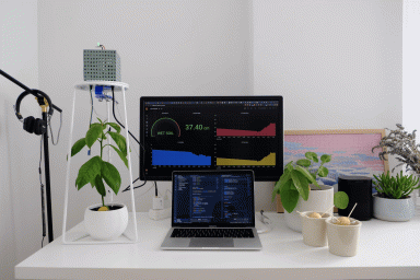 Monitor an avocado plant with Grafana