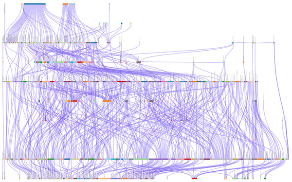 A  diagram with hundreds of purple lines connecting to boxes of different colors